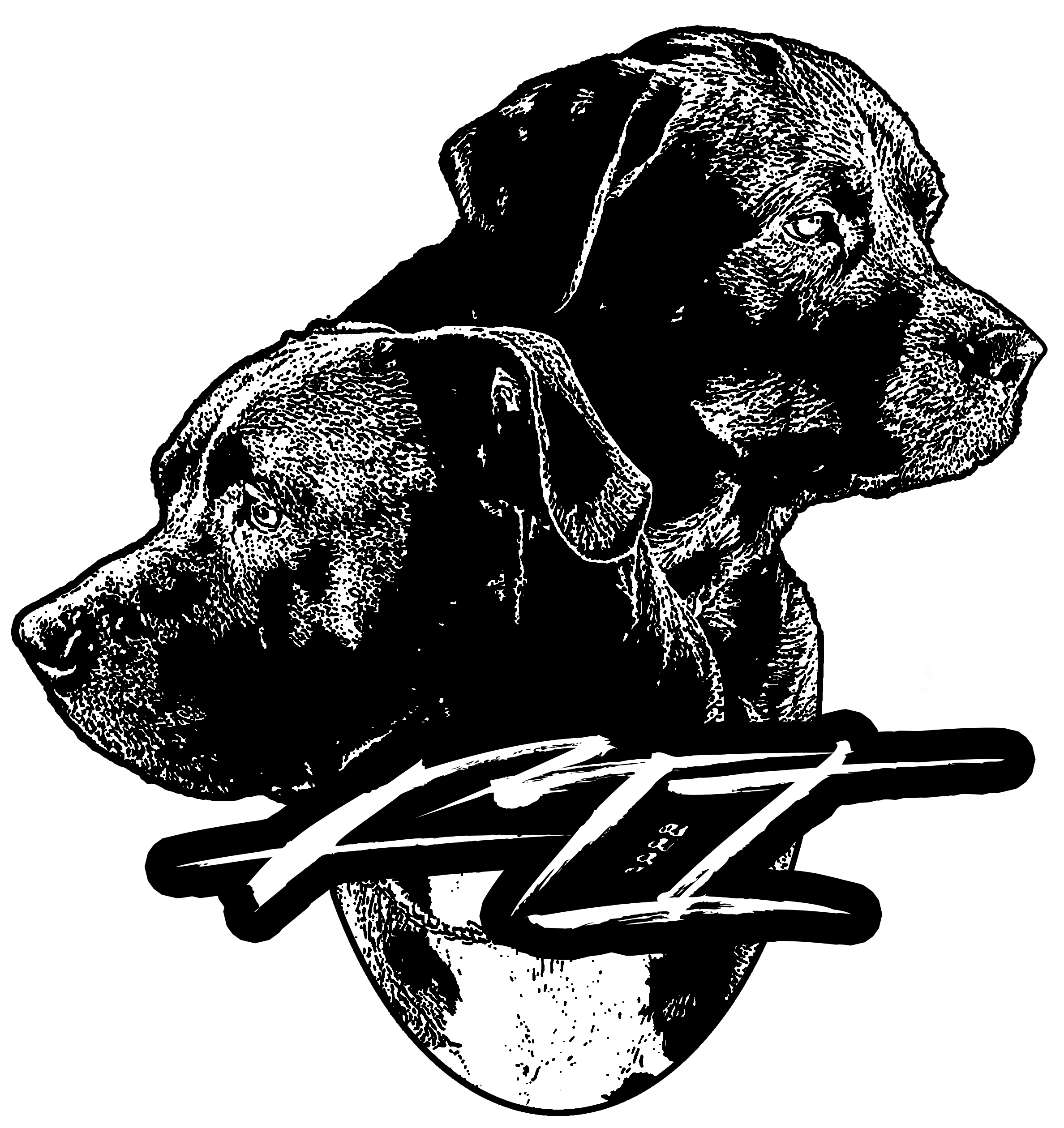 Fuck The BMX Industry – Fuck The Industry